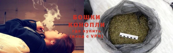 ешки Аркадак
