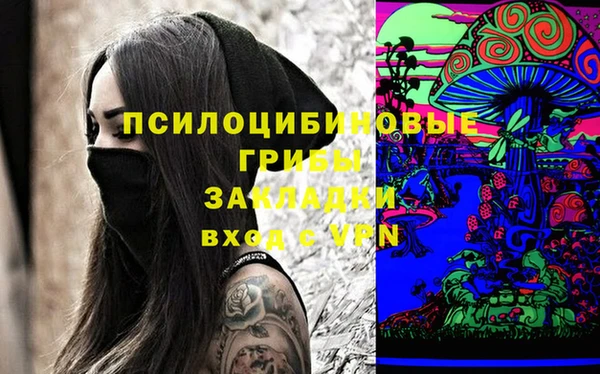 ешки Аркадак