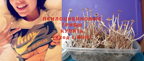 крисы Надым