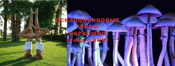 ешки Аркадак